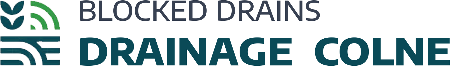 website logo
